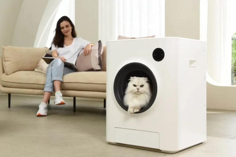 electric cat box