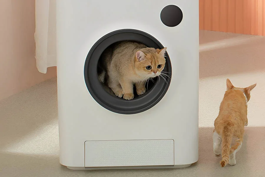 best litter box for two cats