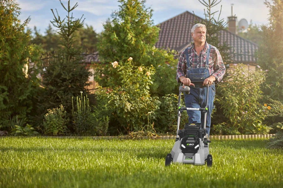 lawn mower for small yard